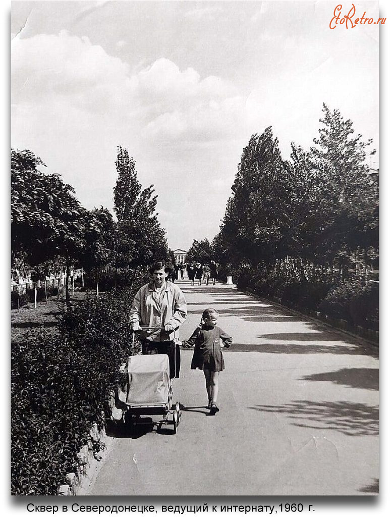 Северодонецк - Сквер в Северодонецке,ведущий к интернату,1960 г.