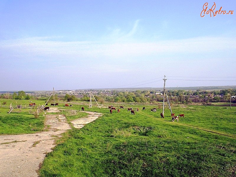 Кременная - Новокраснянка далеко,далеко,а коровы ближе