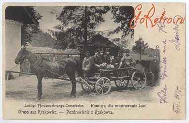 Краковец - Поздоровлення  з  Краковця.  Комісія для муштруваня коней.