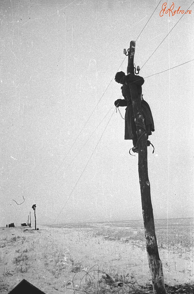 Волгоградская область - Советские связисты прокладывают телефонную линию в районе Сталинграда. 1943 год.
