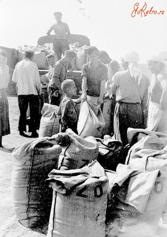 Зачепиловка - Погрузка зернового хлеба в деревне Зачепиловка, оккупированной немцами, для отправки в Германию