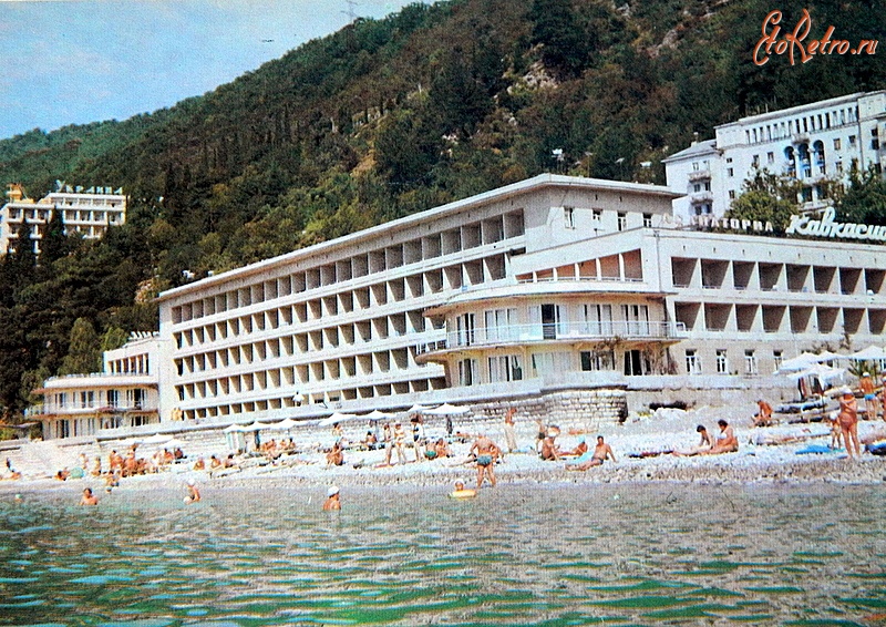 Калина абхазия гагра