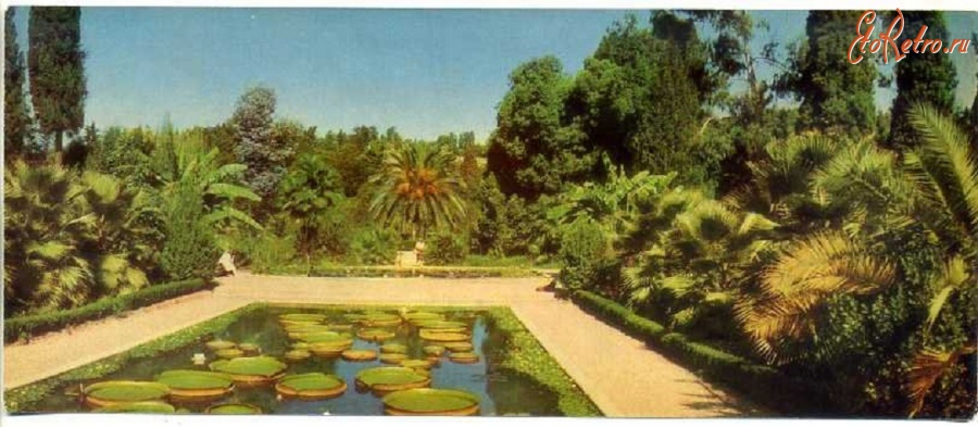 Республика Абхазия - Сухуми Ботанический сад - 1969 г