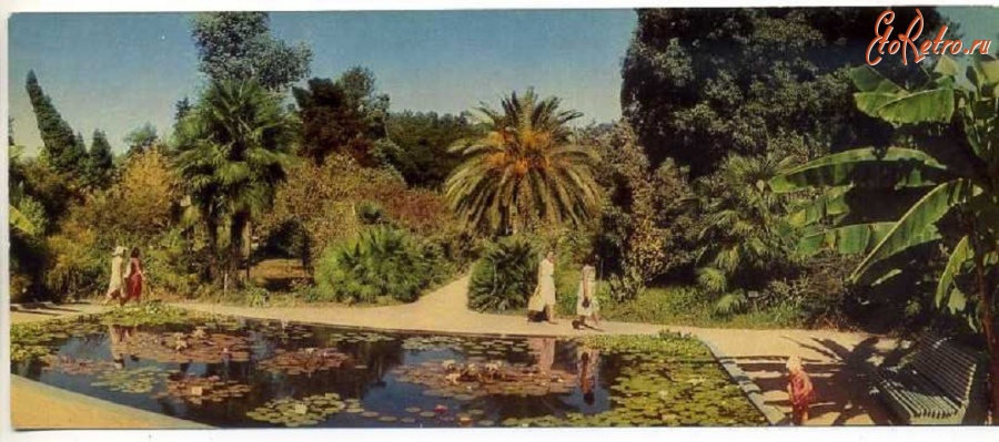 Республика Абхазия - Сухуми. Ботанический сад - 1969 г