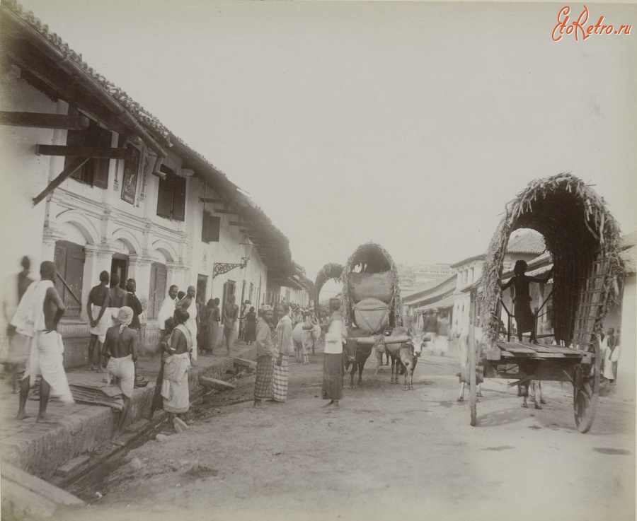 Индия - Движение на городской улице в Индии. 1910