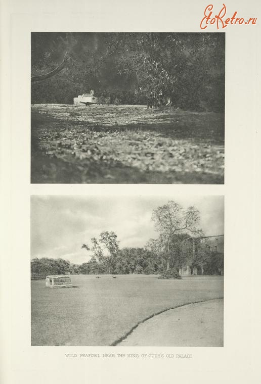 Индия - Парк Королевского дворца в Аудане, 1918-1922
