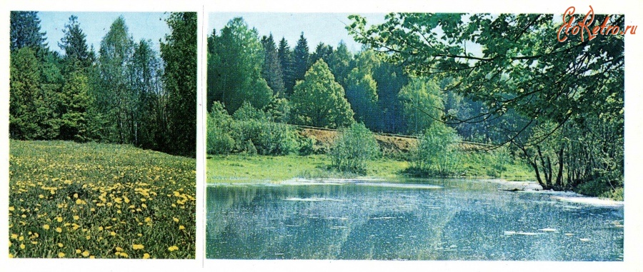 Абрамцево - Уголок парка. Река Воря.