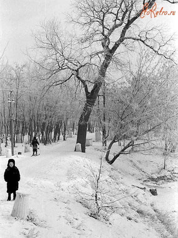 Саратов - В городском парке зимой