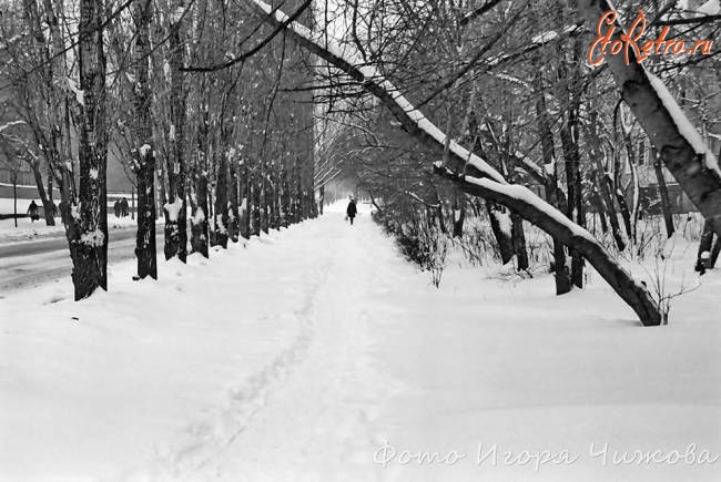 Саратов - Улица Рахова после апрельского снегопада