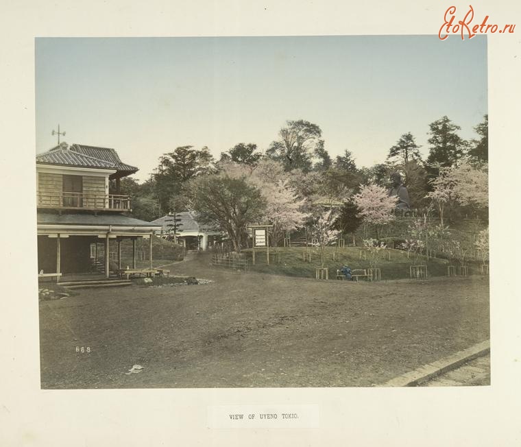 Токио - Парк Уэно и цветущая сакура, 1880-1890