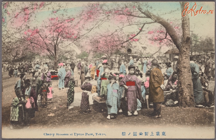 Токио - Асикаяма, цветочный сезон в Токио, 1915-1930