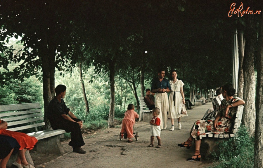 Алма-Ата - Тенистый бульвар на улице Кирова в Алма-Ате, 1955