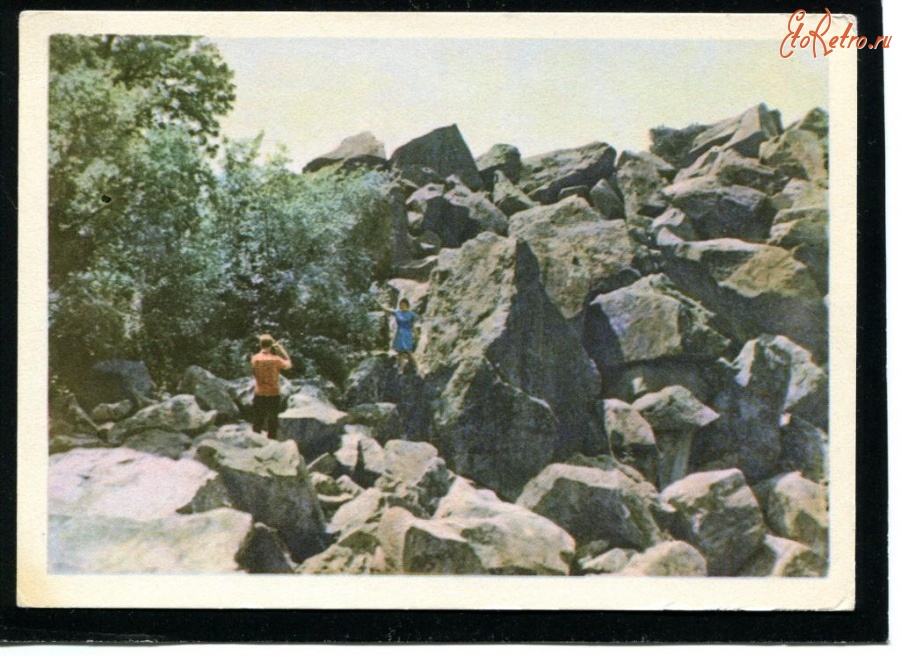 Ретро открытки - . Алупкинский парк.