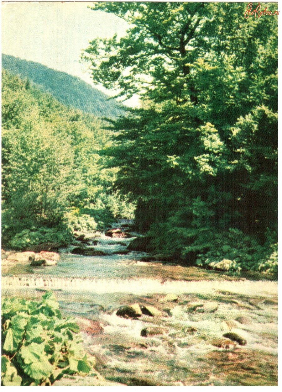 Ретро открытки - На речке Черная Тиса