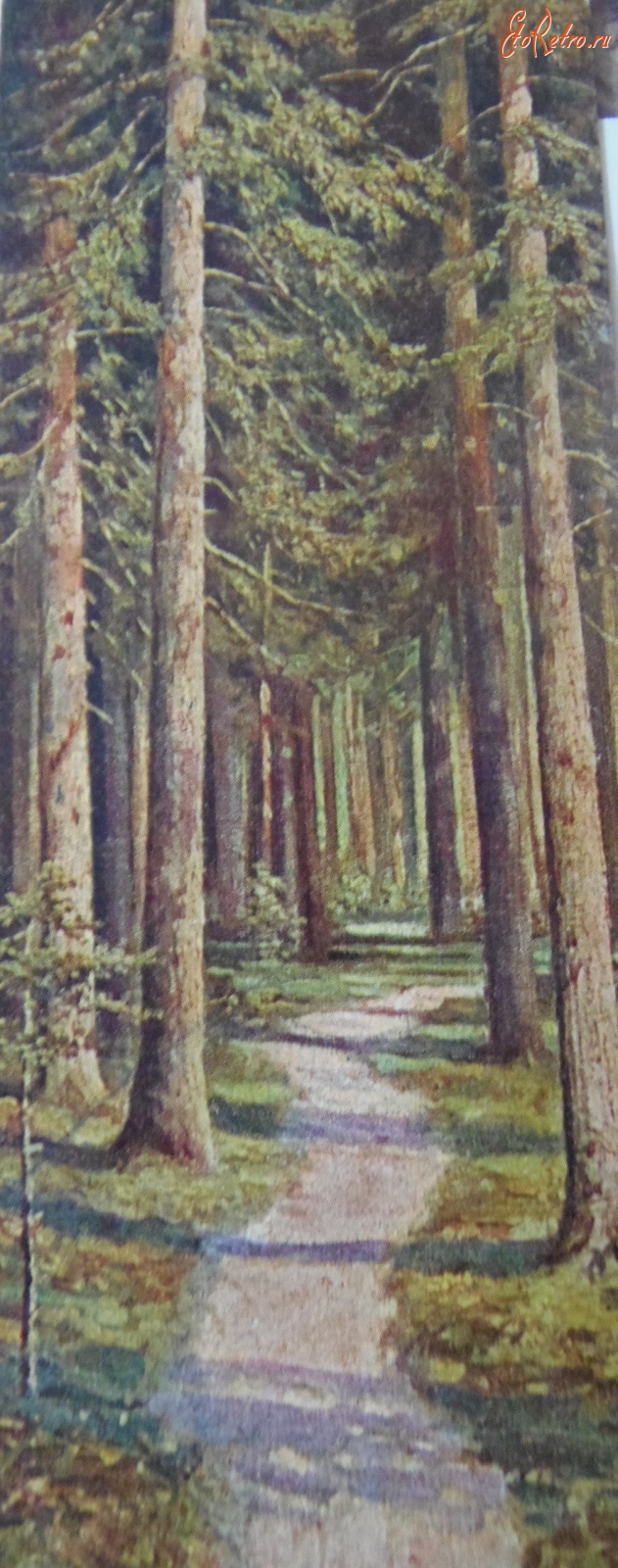 Ретро открытки - Тропинка в лесу