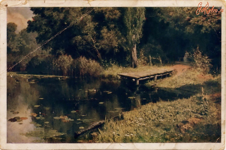 Ретро открытки - Заросший пруд