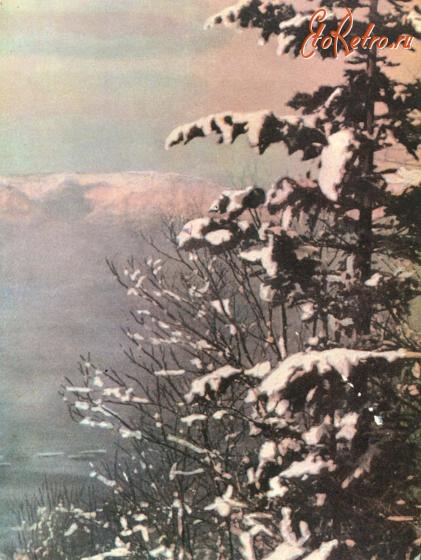 Ретро открытки - Фотооткрытка. Коллекция открыток. Фото Н. Козловского. Сахалинская зима.