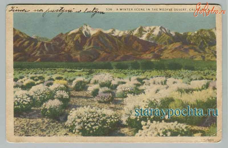 Ретро открытки - Открытка — Пустыня Мохаве в Калифорнии. Зимний пейзаж