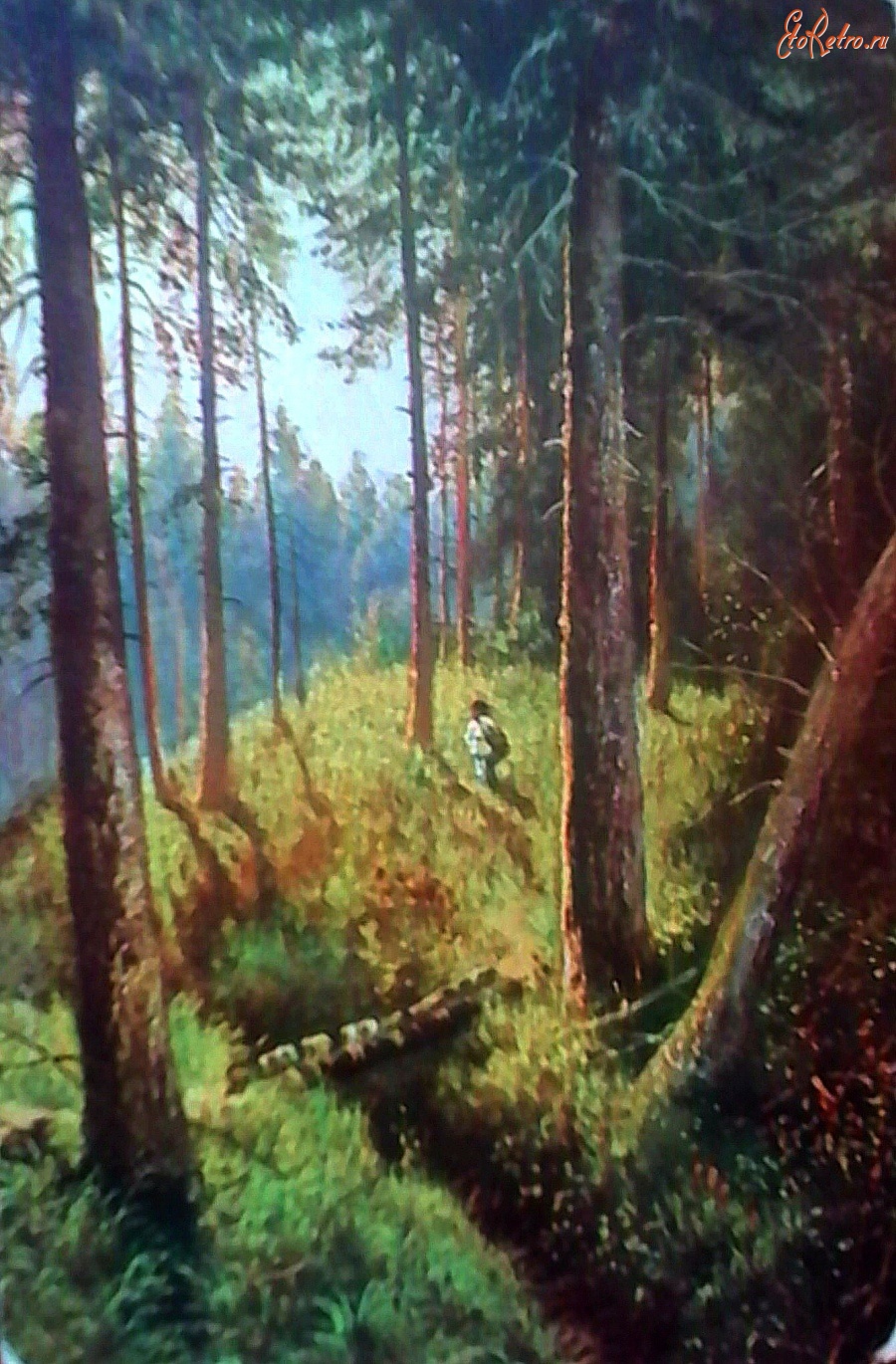 Ретро открытки - И.И. Шишкин. Еловый лес