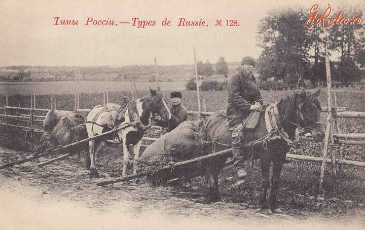 Ретро открытки - Типы России. Крестьяне за перевозкой сена