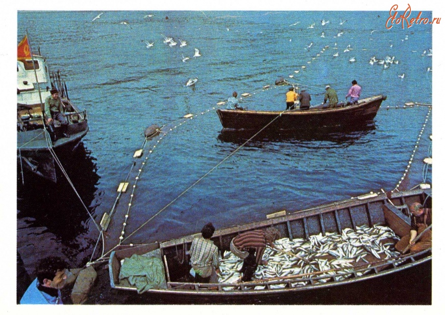 Ретро открытки - Рыбаки.