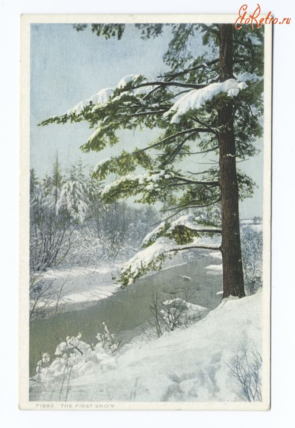 Ретро открытки - Зимний лес