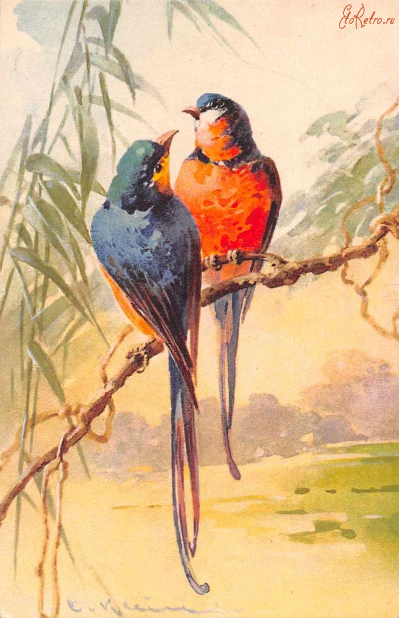 Ретро открытки - Попугай на ветке