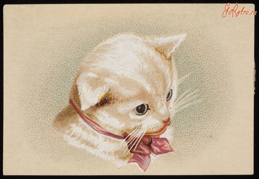 Ретро открытки - Белый котёнок с розовой лентой