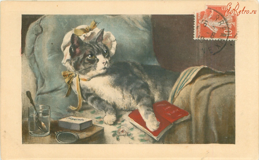 Ретро открытки - Кошка в капоре, отдыхающая с книгой