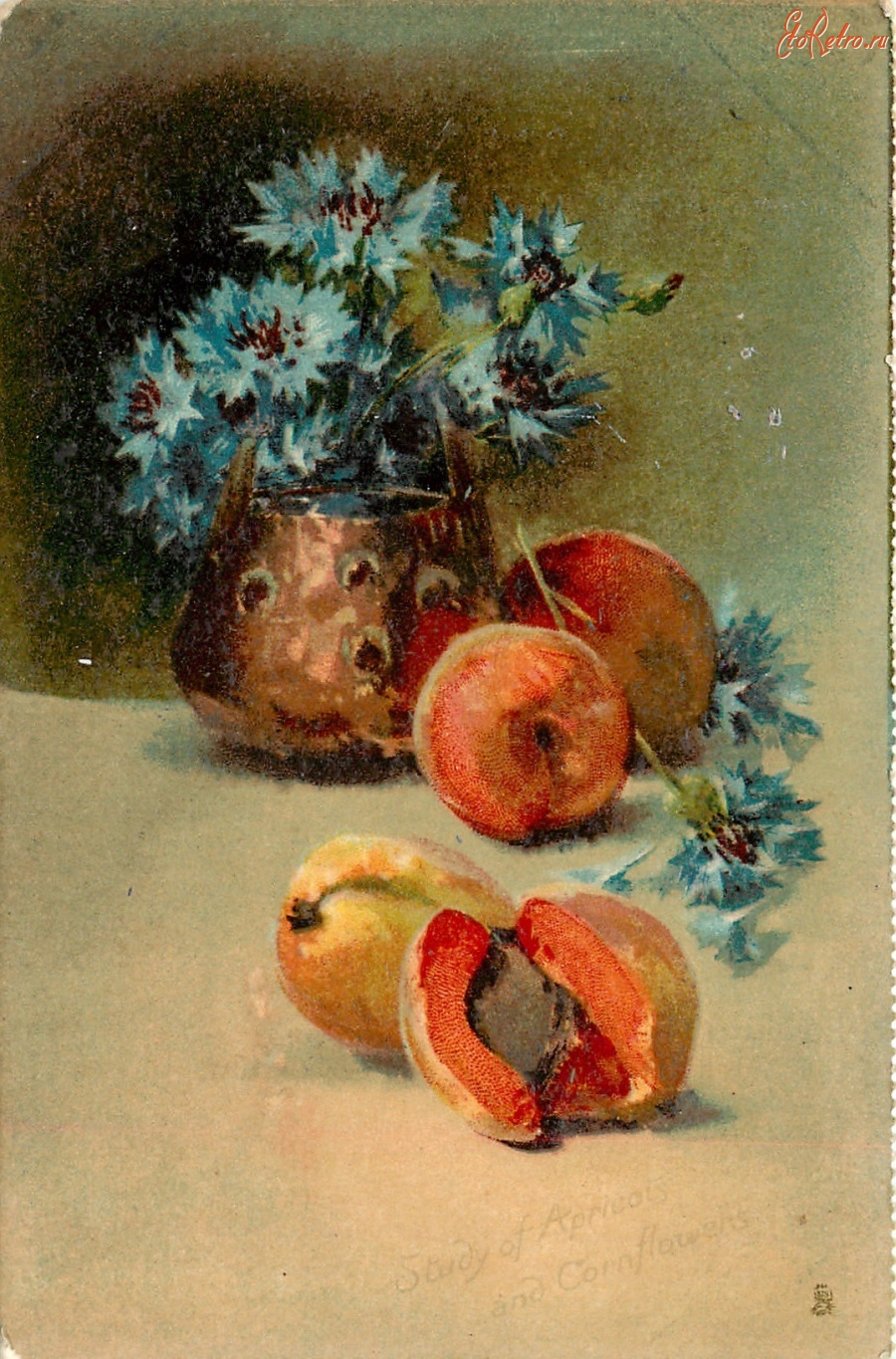Ретро открытки - Васильки в коричневом кувшине и абрикосы