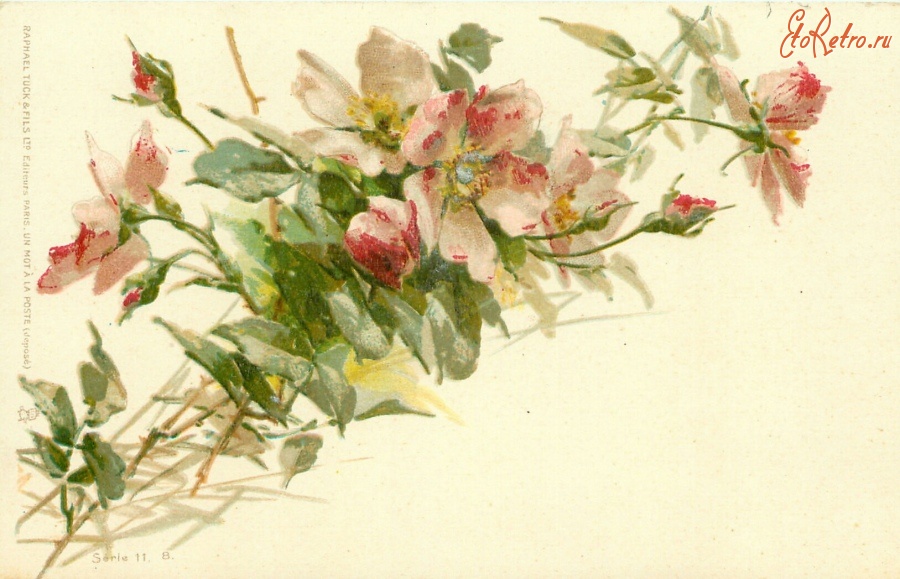 Ретро открытки - Ветка розового шиповника