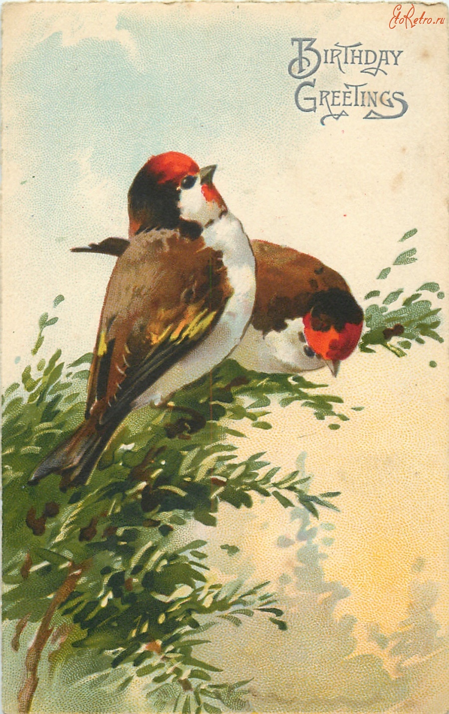 Ретро открытки - Два красноголовых зяблика на еловой ветке