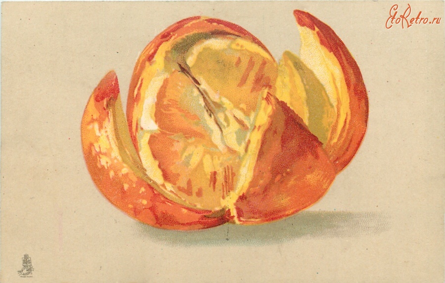 Ретро открытки - Натюрморт с апельсином