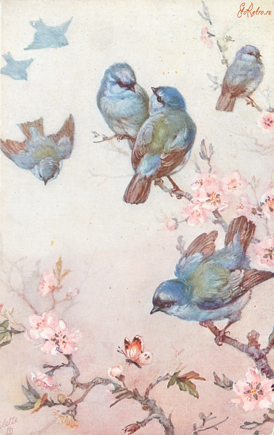 Ретро открытки - Семь синих птиц на цветущем вишнёвом дереве и бабочка