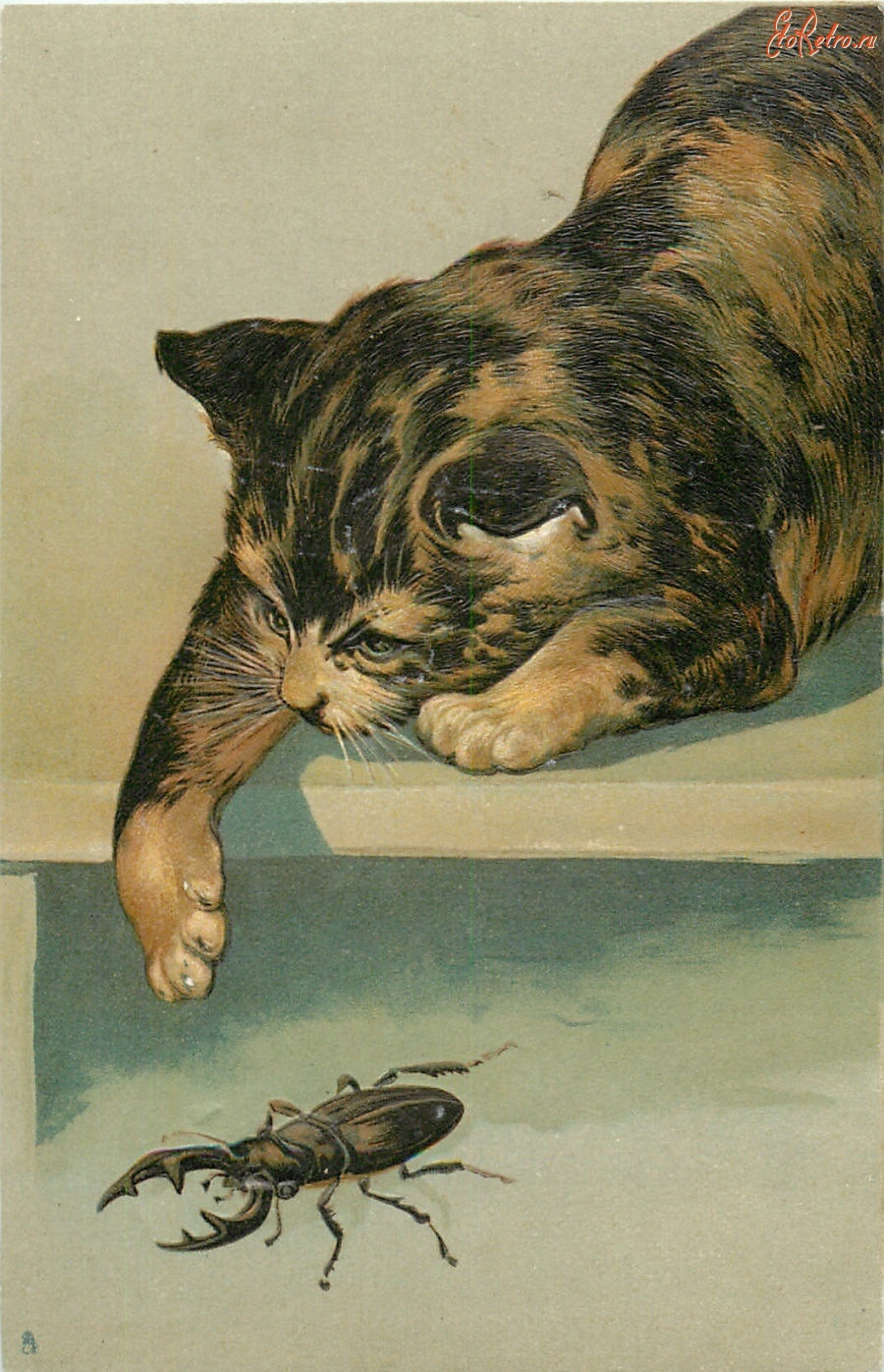 Ретро открытки - Котёнок на скамейке и жук-дровосек