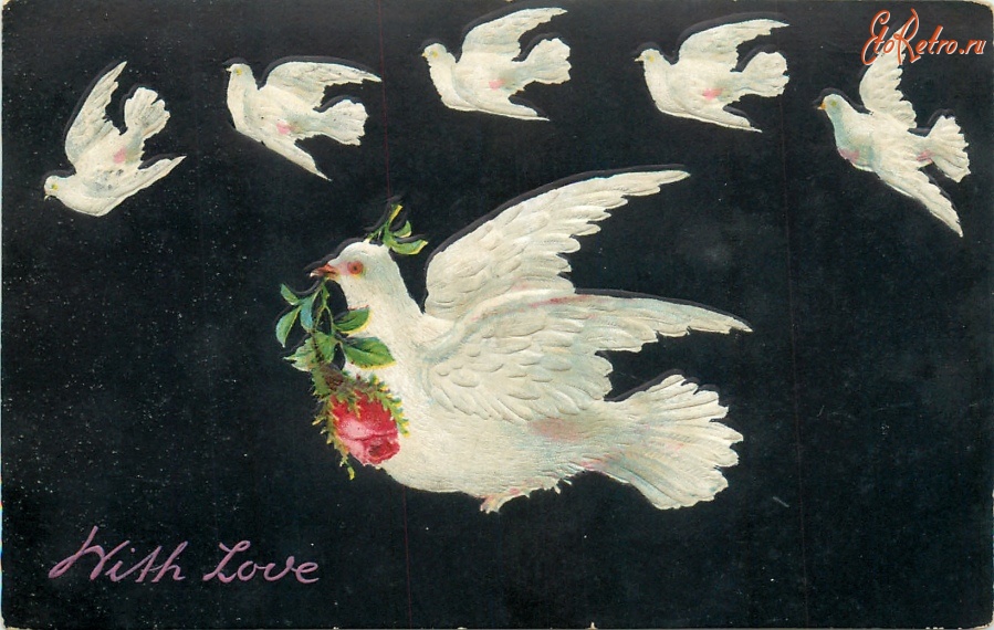 Ретро открытки - С любовью. Белая голубка с веткой розы