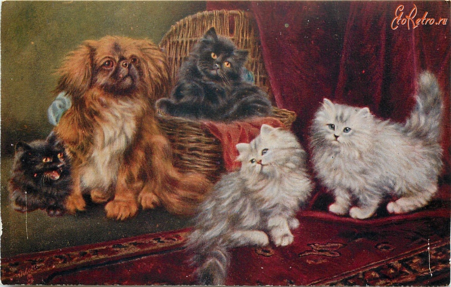 Ретро открытки - Нянька. Пекинес и персидские котята