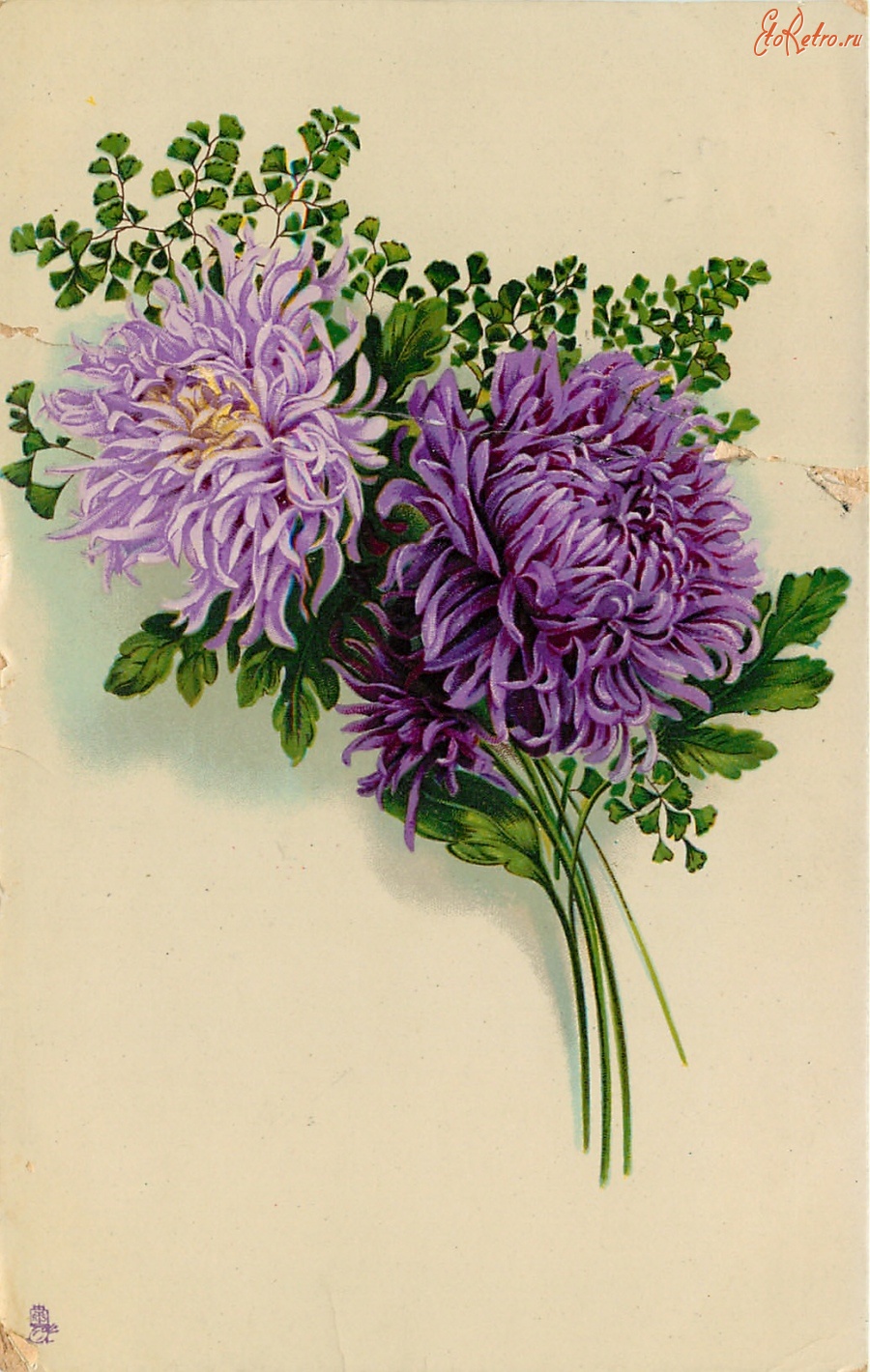 Ретро открытки - Букет фиолетовых хризантем