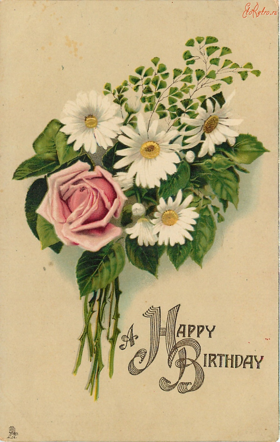 Ретро открытки - Белые ромашки, роза и ветки папоротника