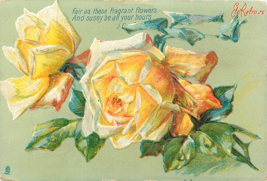 Ретро открытки - Цветочные послания. Жёлтые розы