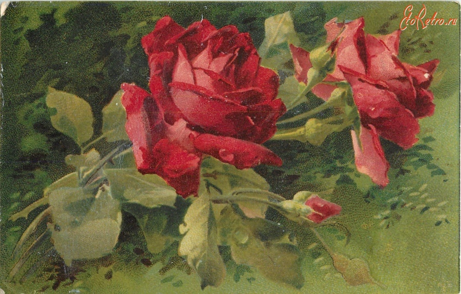 Ретро открытки - Красные розы