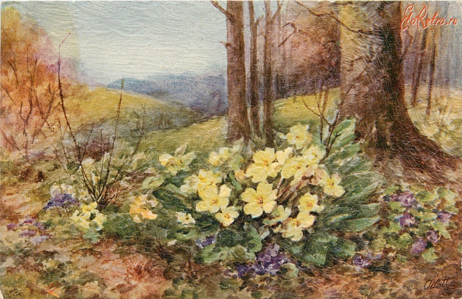 Ретро открытки - Фиалки и жёлтые примулы в весеннем лесу