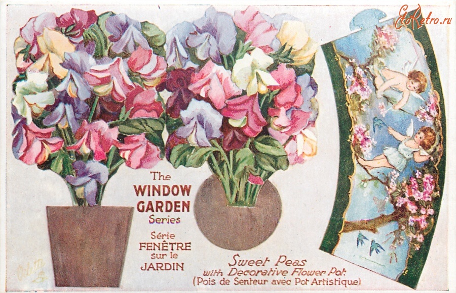 Ретро открытки - Душистый горошек в декоративном цветочном горшке