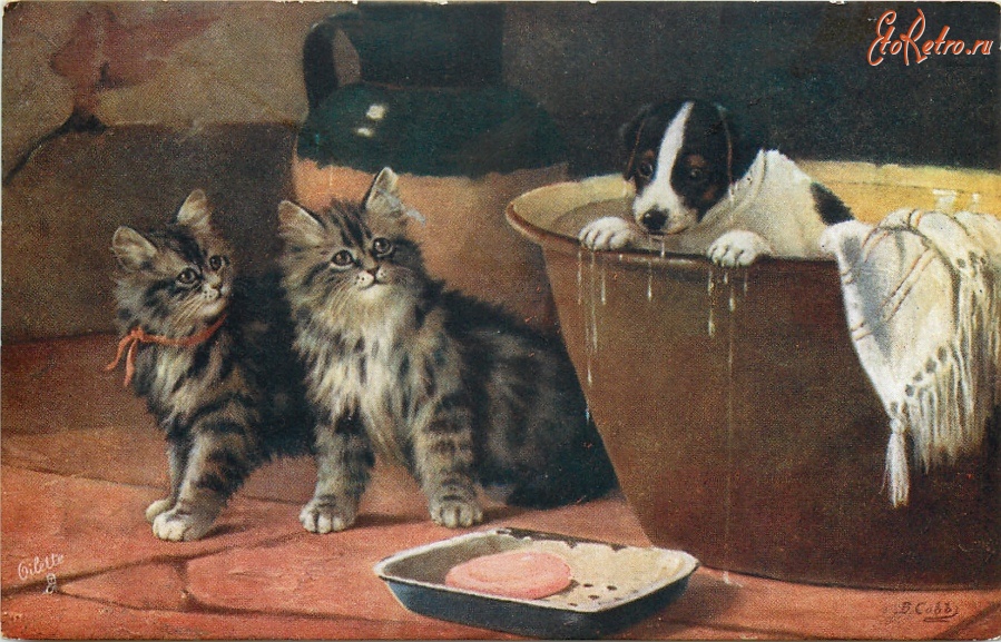 Ретро открытки - Котята и щенок в ванне