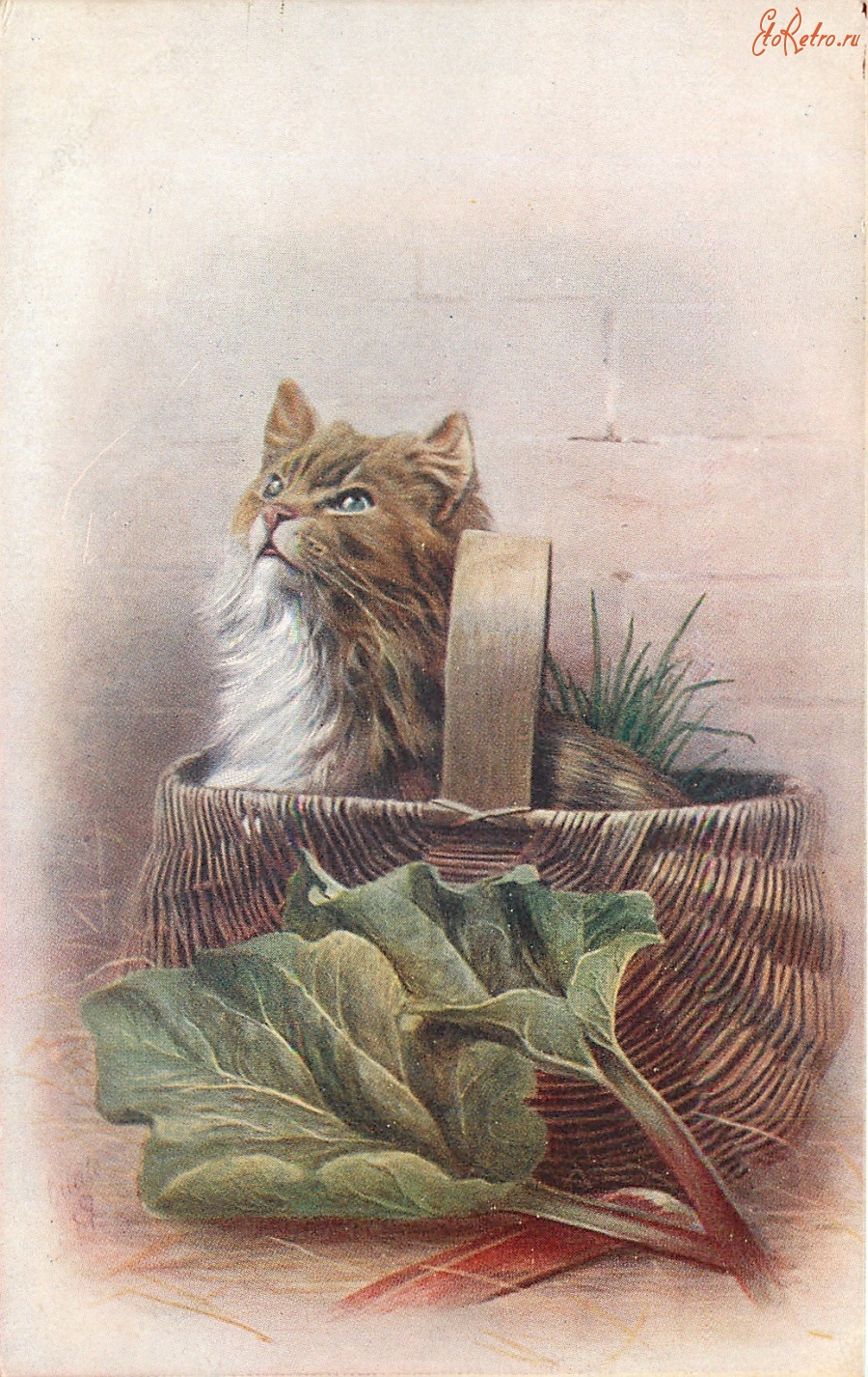 Ретро открытки - Котёнок в корзине и зелёные листья