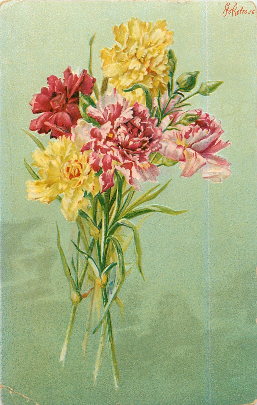 Ретро открытки - Жёлтые, красные и розовые  гвоздики