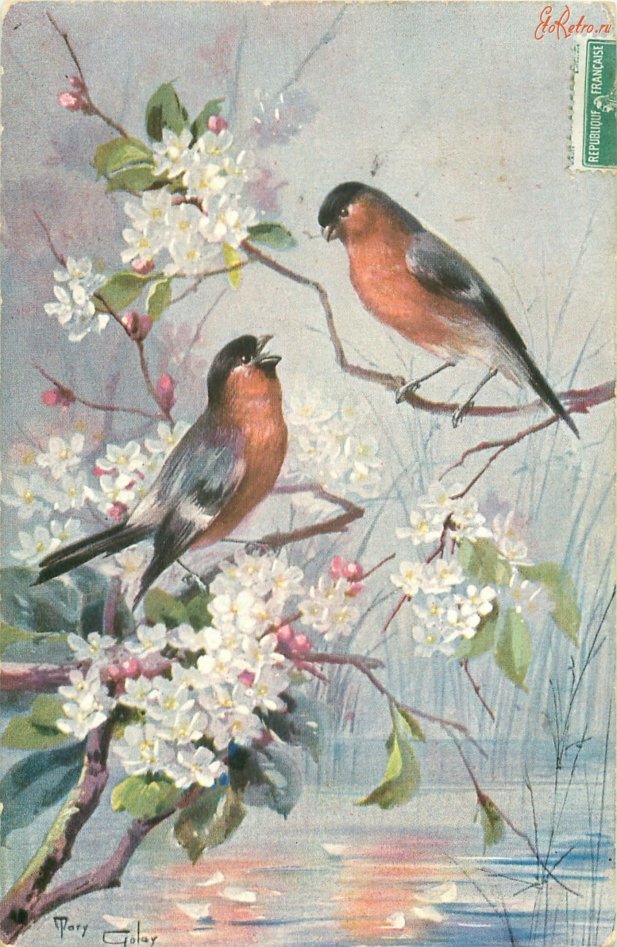 Ретро открытки - Мари Голей. Два снегиря и яблоневый цвет над водой