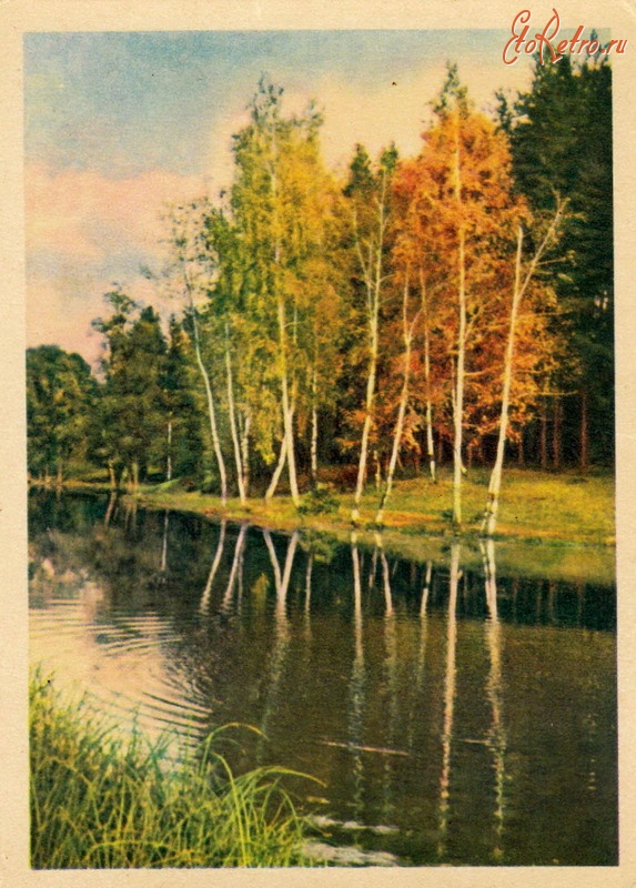 Ретро открытки - Лесное озеро