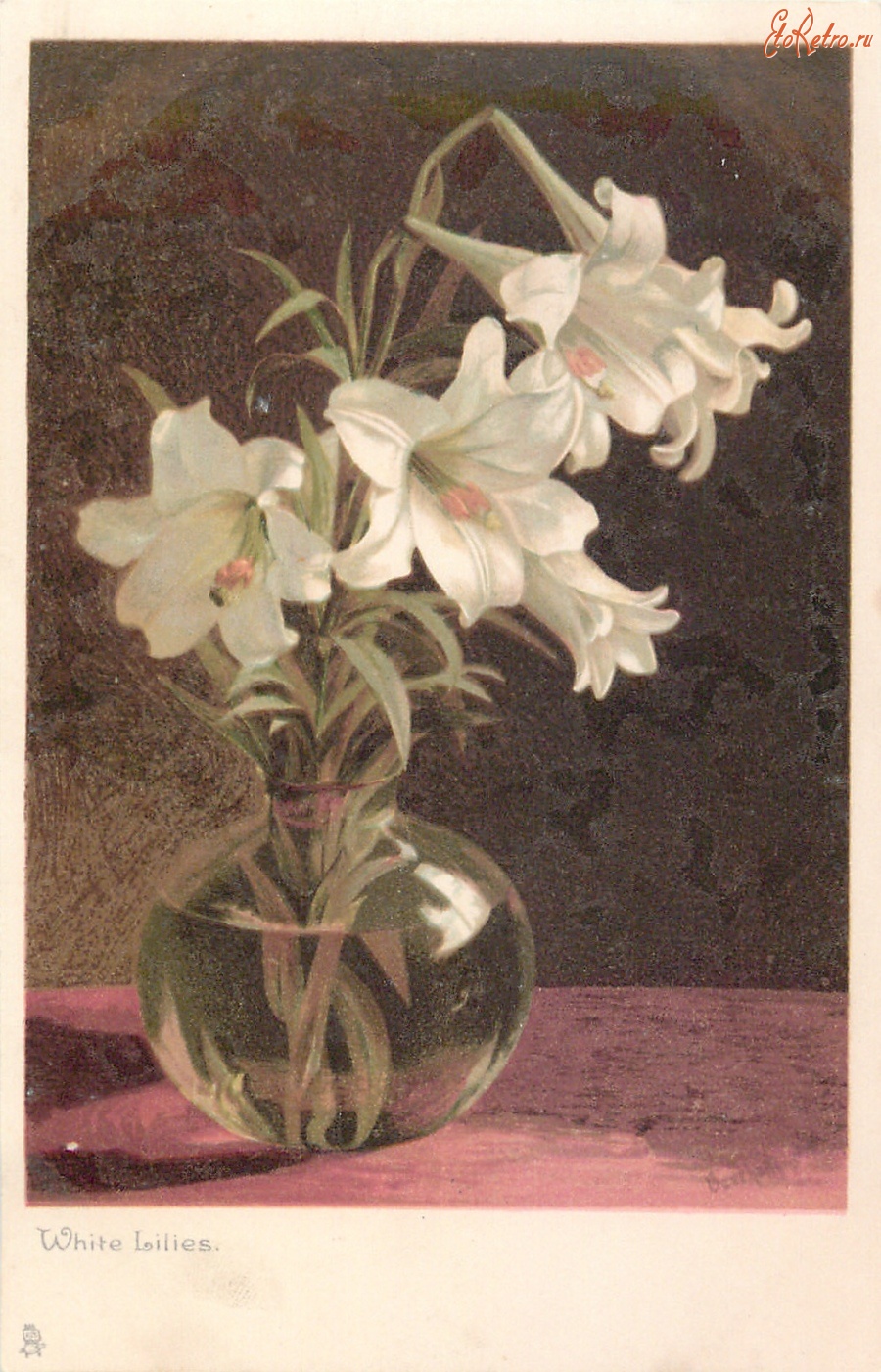 Ретро открытки - Белые лилии
