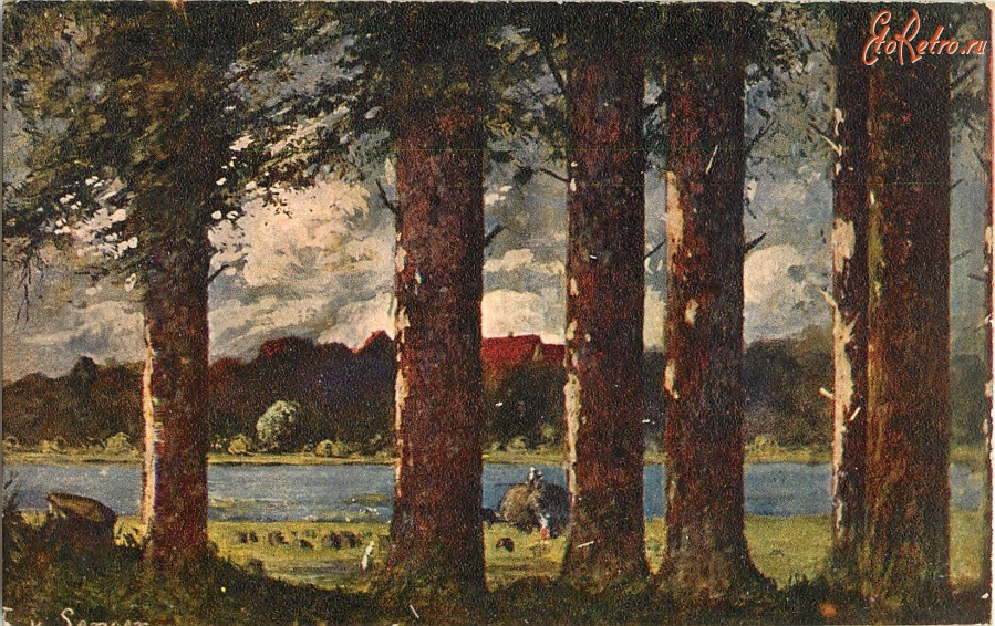 Ретро открытки - Стволы деревьев, сельский дом и озеро на закате